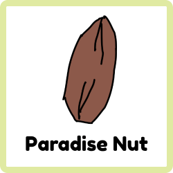 Paradise Nut