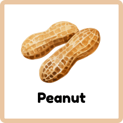 Peanut