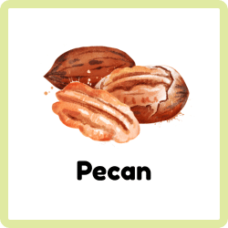 Pecan