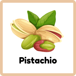 Pistachio - Nuts Names