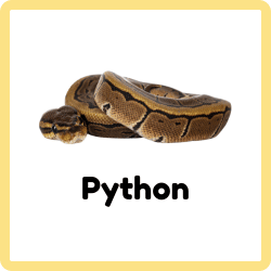 Python - Snakes Names
