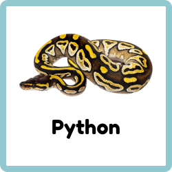 Python - Reptiles Names