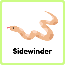 Sidewinder