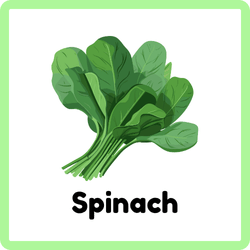 Spinach