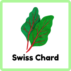 Swiss Chard