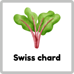 Swiss chard