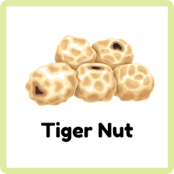 Tiger Nut - Nuts Names