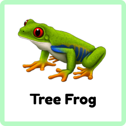 Tree Frog | Amphibians Names