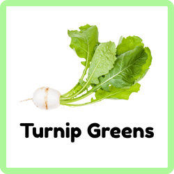 Turnip Greens