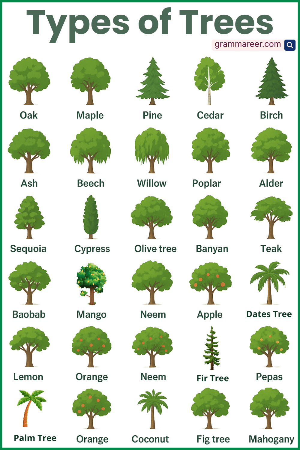 List of Types of Trees in English