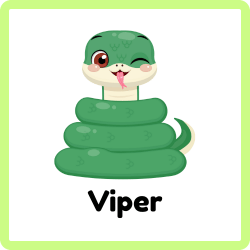 Viper - Snakes Names