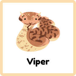 Viper - Reptiles Names