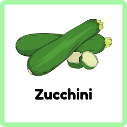 Zucchini | Green Vegetables Names