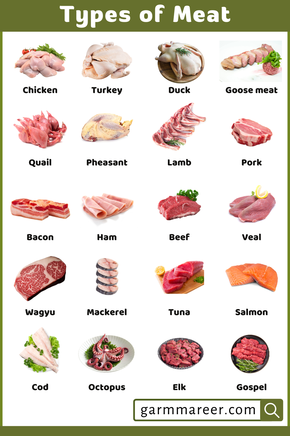 Types of Meat List with Names and Pictures