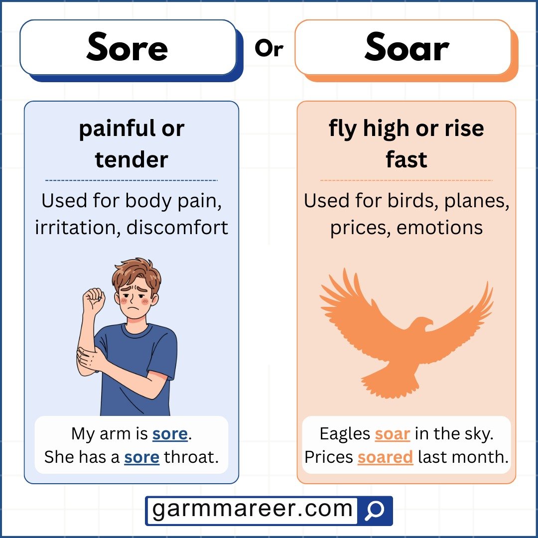 Difference between soar and sore with clear visuals.